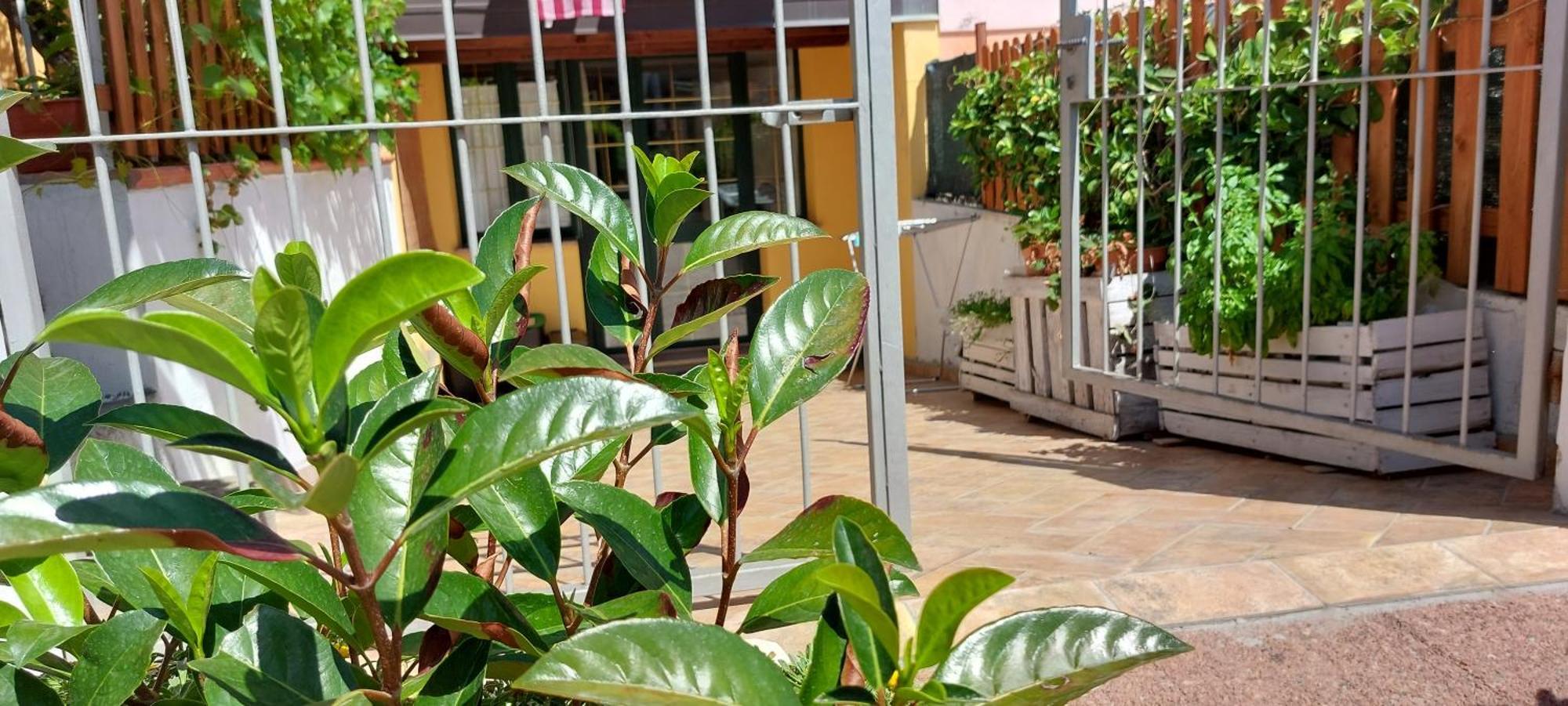 Casa Vacanze Laura Tortolì Eksteriør bilde